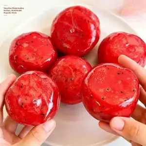 Handmade Watermelon Ice Squeeze Squishy Toy - Soft Waxy Sand Feel ASMR Fidget Toy for Anxiety, Stress Relief, Decompression Gift for Kids & Adults, Squishies，The top choice for gifting