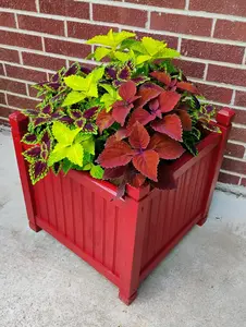 Planters, Cambridge  18" X18" X 18", Outdoor Planter, gifts for gardeners