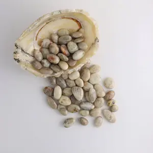 Sunstone x Moonstone 2 Piece Tumble