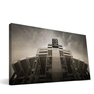 212 MAIN 16x36 USC Williams-Brice Stadium View Fabric Photo Print - High-Quality Wall Art, Ready-to-Hang USC Gamecocks Decor for Dressmaking Fabrics & Fashion Accessories