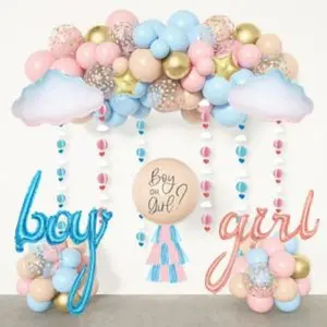 Gender reveal decorations pastel pink and blue nude confetti balloons arch kit star hanging cloud garland paper tassels he or she boy or girl gender reveal baby shower party supplies