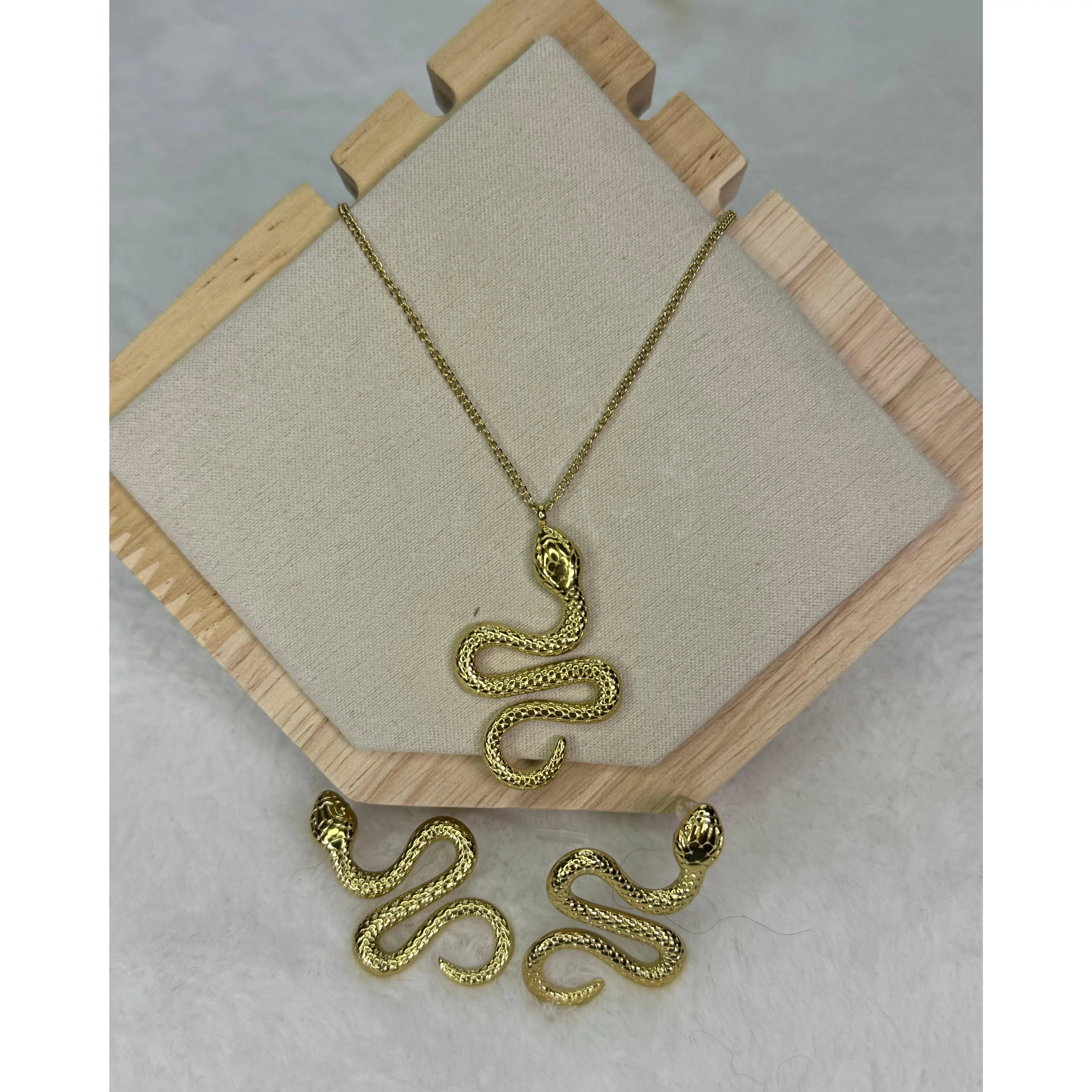 Snake Stainless Steel Set with Pendant and Chain