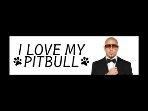 I Love My Pitbull Bumper Sticker