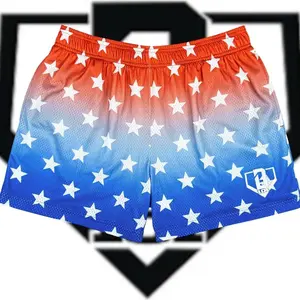 BL101  Youths Shorts Mesh Funny Summer Beach Shorts, Pastel Dessert Swim Trunks, Cute Vacation Shorts, Graphic Pool Shorts