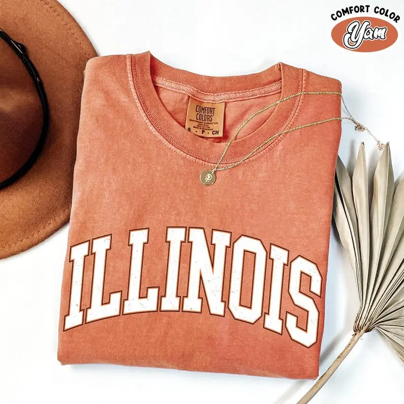 Comfort Colors Retro Illinois T- Shirt, Vintage Illinois Tshirt, Illinois Game Day Shirt, Illinois State Shirt, Illinois Gift, Unisex