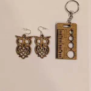 Hand painted owl earrings