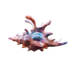 Velvet Claws Realistic Conch Shell Hair Claw in Mermaid Colors Claw Clip 5.25" Long Acetate Lightweight for Beach Dreamers