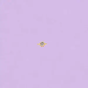 《YNZ32》Dainty Flower Solitaire Minimalist Ring