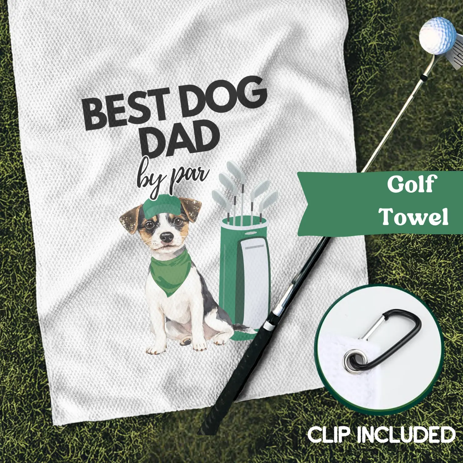 Jack Russell terrier #2