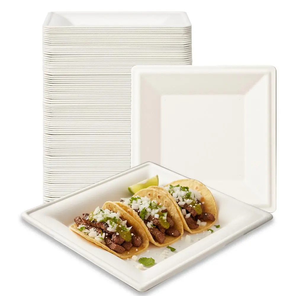 FPN Disposable Sugarcane Square Plates Heavy Duty Compostable Dinnerware | Biodegradable Eco Friendly Party Plates for Hot & Cold Food, Catering, Weddings & Daily Meals