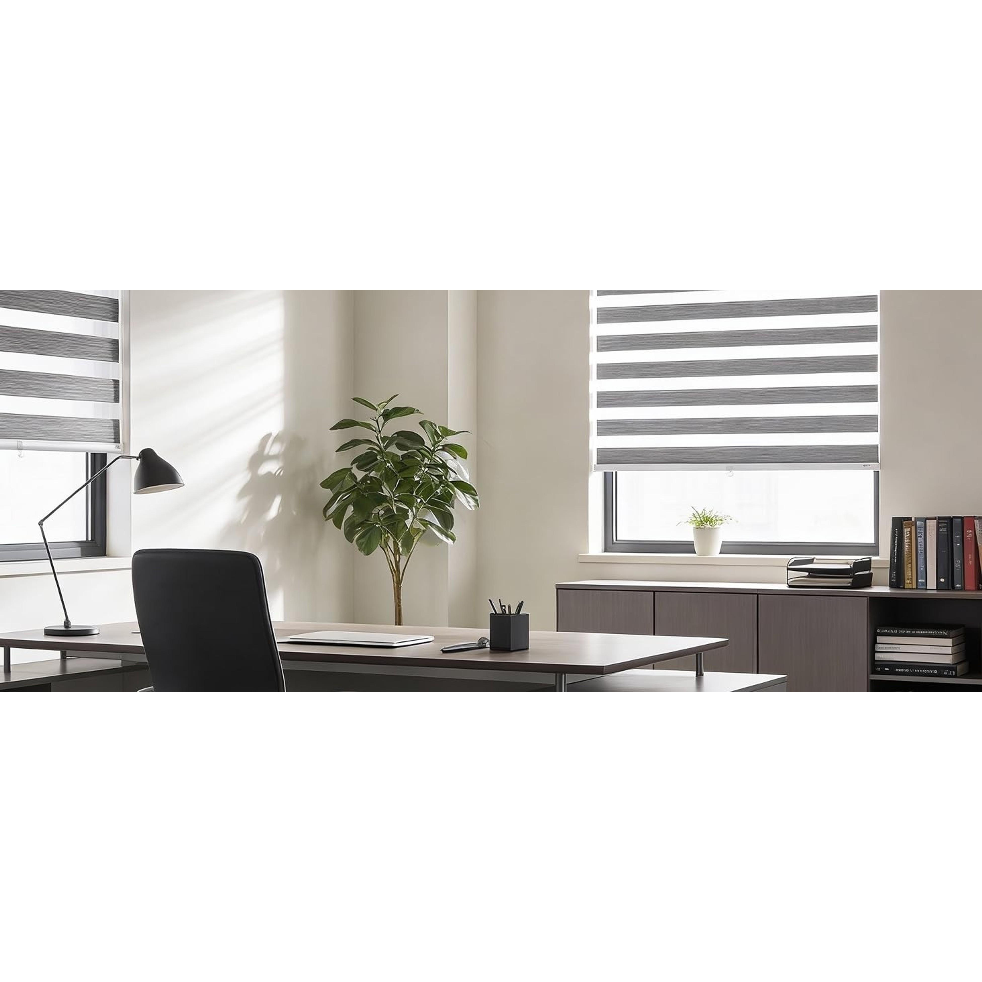 Cordless Zebra Pattern Roller Blind for Indoor Home Windows, Free-Stop Dual Layer Light Filter Sheer Shades (22" W X 72" H, Grey)