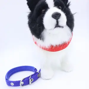 Adjustable Dog Collar, Classic Comfort Durable Design, Ordinary Dog Collar, Perfect for Daily Use, Stylish & Functional Pet Accessory