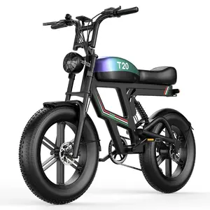 PikeBike T20 1800W Electric Motorcycle 48V 20AH Removable Battery 80 Miles Range 30MPH High-Speed Electric Bike for Adults Off-Road & Commuting