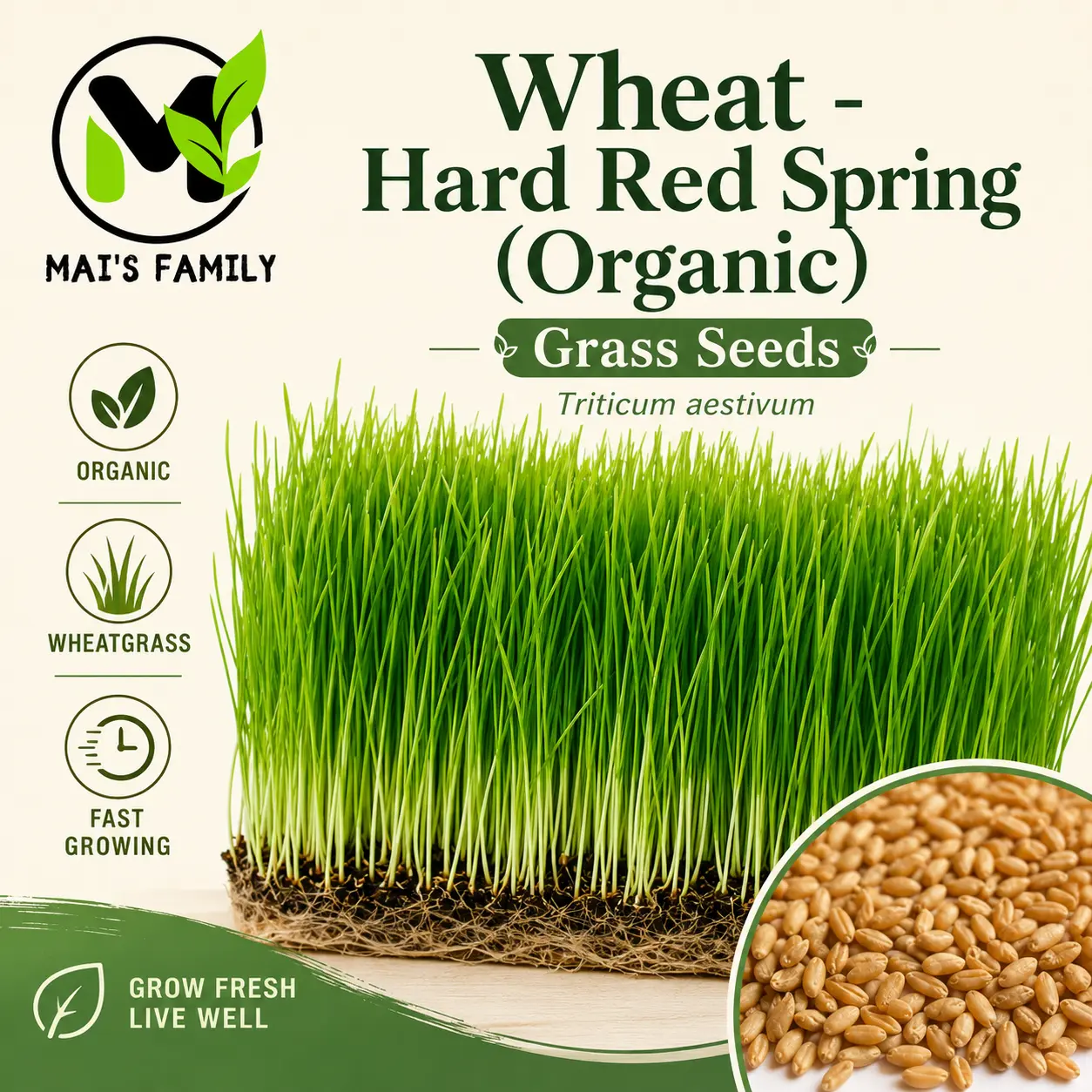 Organic Hard Red Wheatgrass Seeds – Non-GMO Wheat Seeds for Cat Grass, Pet Grass, Sprouting, Microgreens & Juicing
