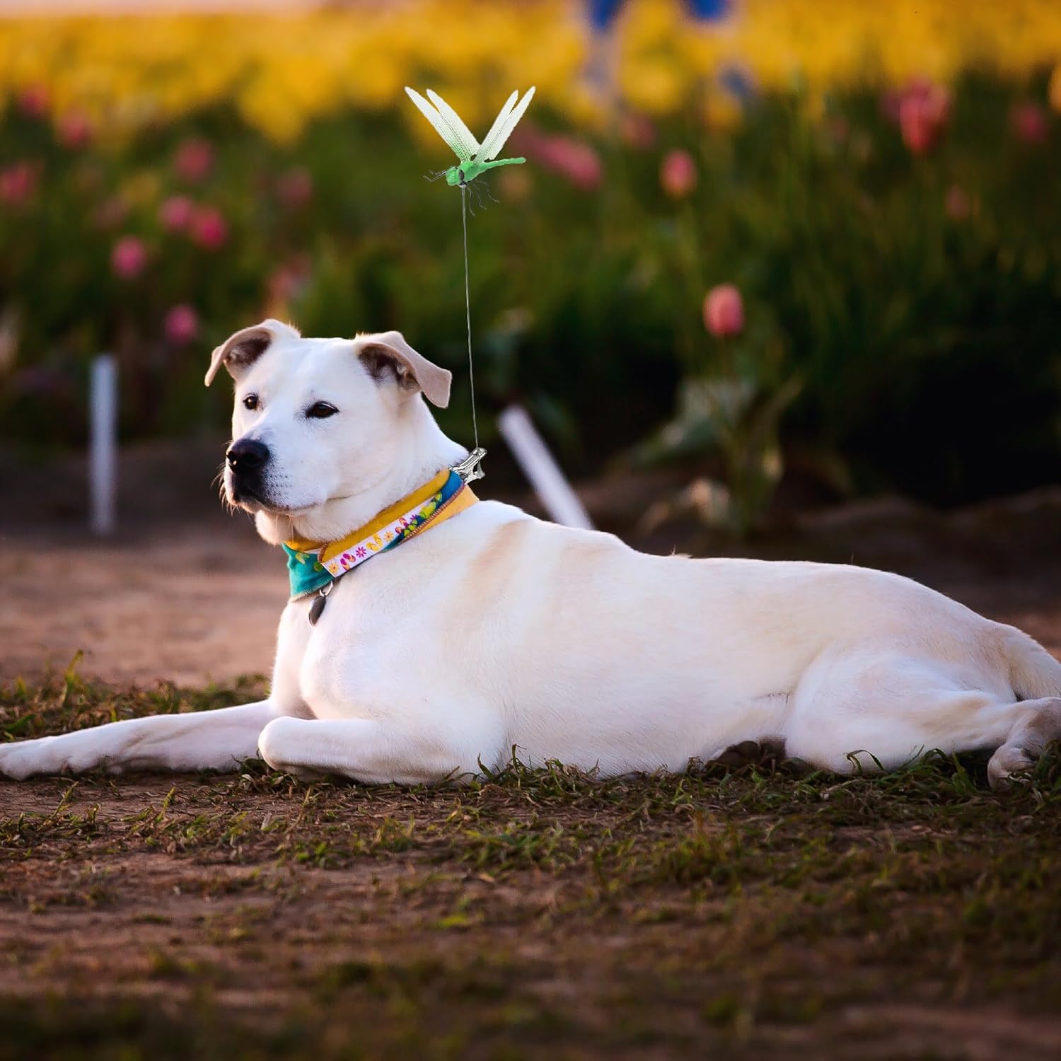 4 Pack outdoor Fake Dragonfly Rod Clip Garden Metal Dragonfly Clip Natural Organic Concept 3D Dragonfly Garden Decoration for Indoor & Outdoor Garden Creative Home Accessories Decorative Design
