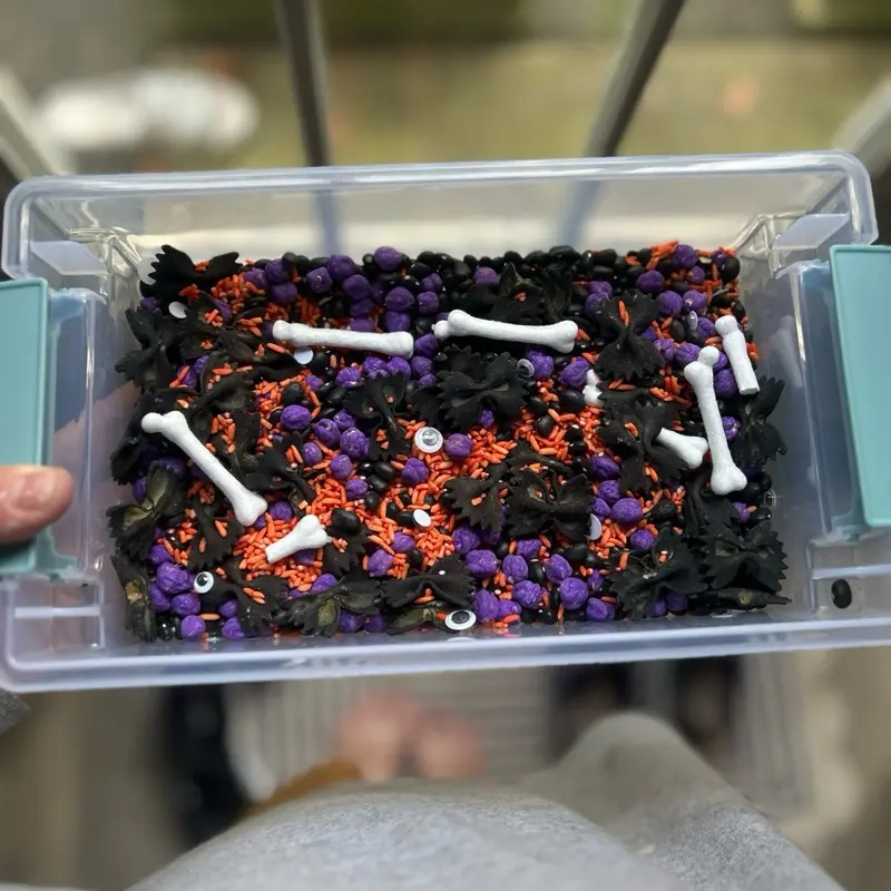 Halloweenie Sensory Bin Filler with Bat, Bone, and Purple & Orange Elements for Sensory Play