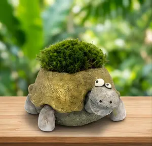 Pogo the Tortoise Blobhouse Planter