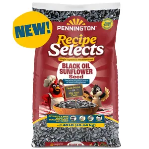 Pennington Select Black Oil Sunflower Seed Wild Bird Dry Feed, 40 lb. Bag