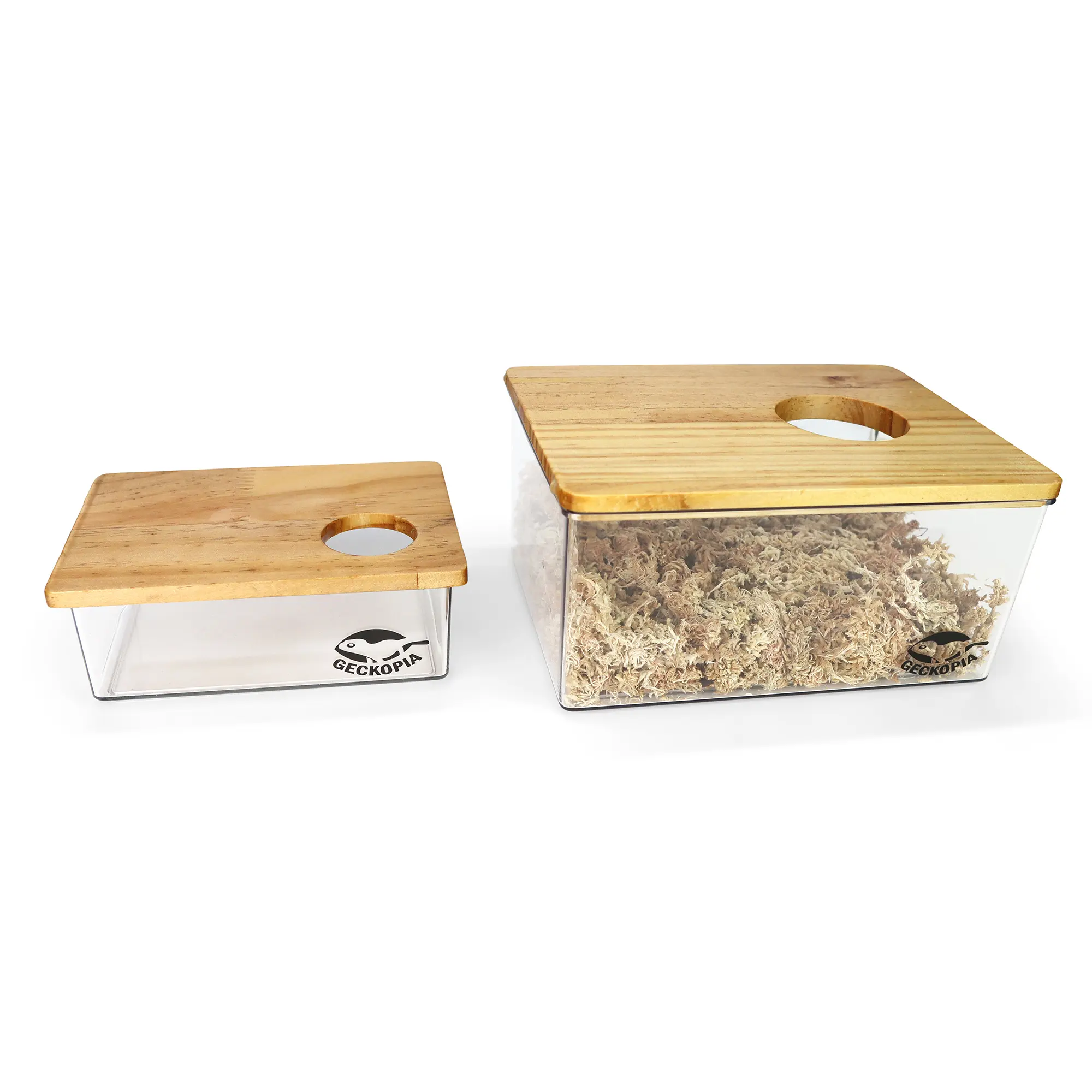 Reptile Dig Box Reptile Dig Box