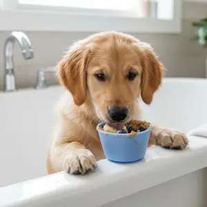 WOOZAPET Buddy Bowl Dog Slow Feeder Lick Bowl