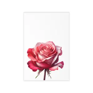 Wall Decals