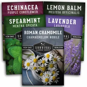 Tea Garden Herb Seed Collection - Lavender, Mint, Echinacea, Lemon Balm, Roman Chamomile