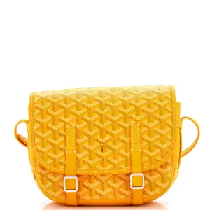 Pre-owned Goyard material Messenger Bags Belvedere Messenger Bag Coated Canvas PM by Rebag