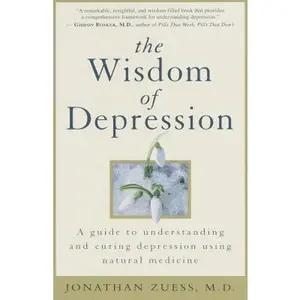 USED-The Wisdom of Depression: A Guide to Understanding and Curing Depression Using Natural Medicine by Jonathan G. Zuess (Paperback)