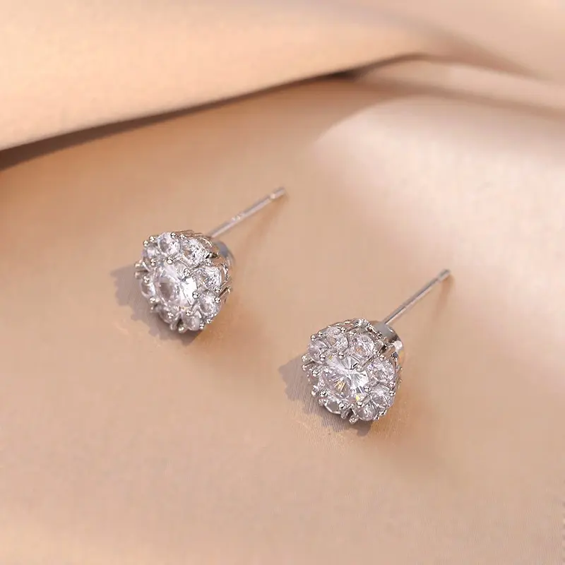 E0075 Steel Earrings