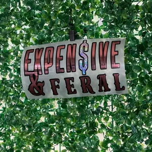 ‘Expensive & Feral’ Permanent Decal Sticker - Car/ Truck Decal Sticker