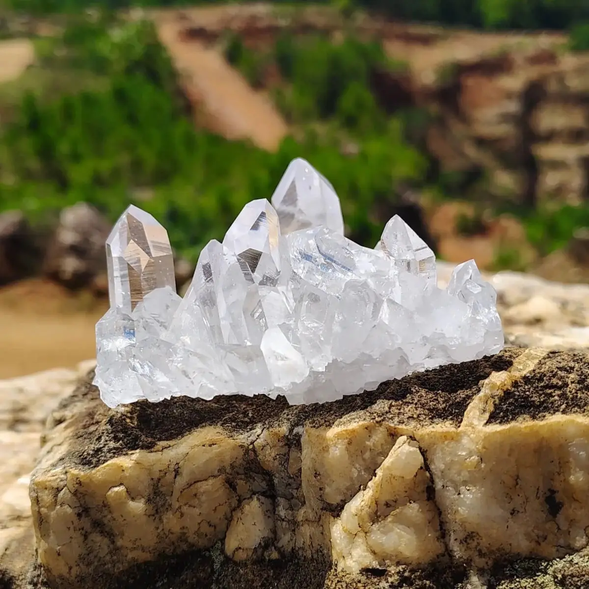 Natural Raw Clear Quartz Crystal Cluster