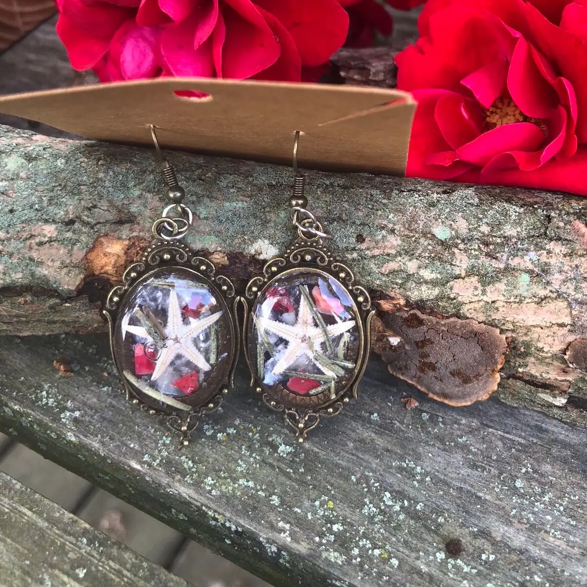 Real Starfish, Red Coral, Mother of Pearl and Rosemary Earrings - #104