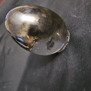 Mummified Duckling in resin egg