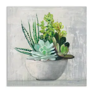 Courtside Market Succulent Still Life II 16x16Canvas Wall Art