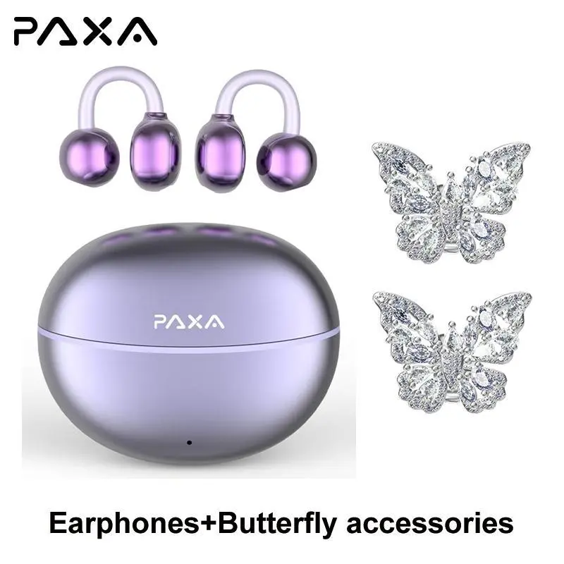 Purple +Butterfly Accessories