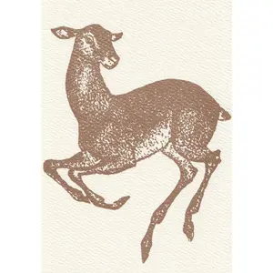 Doe - Blank Note Cards