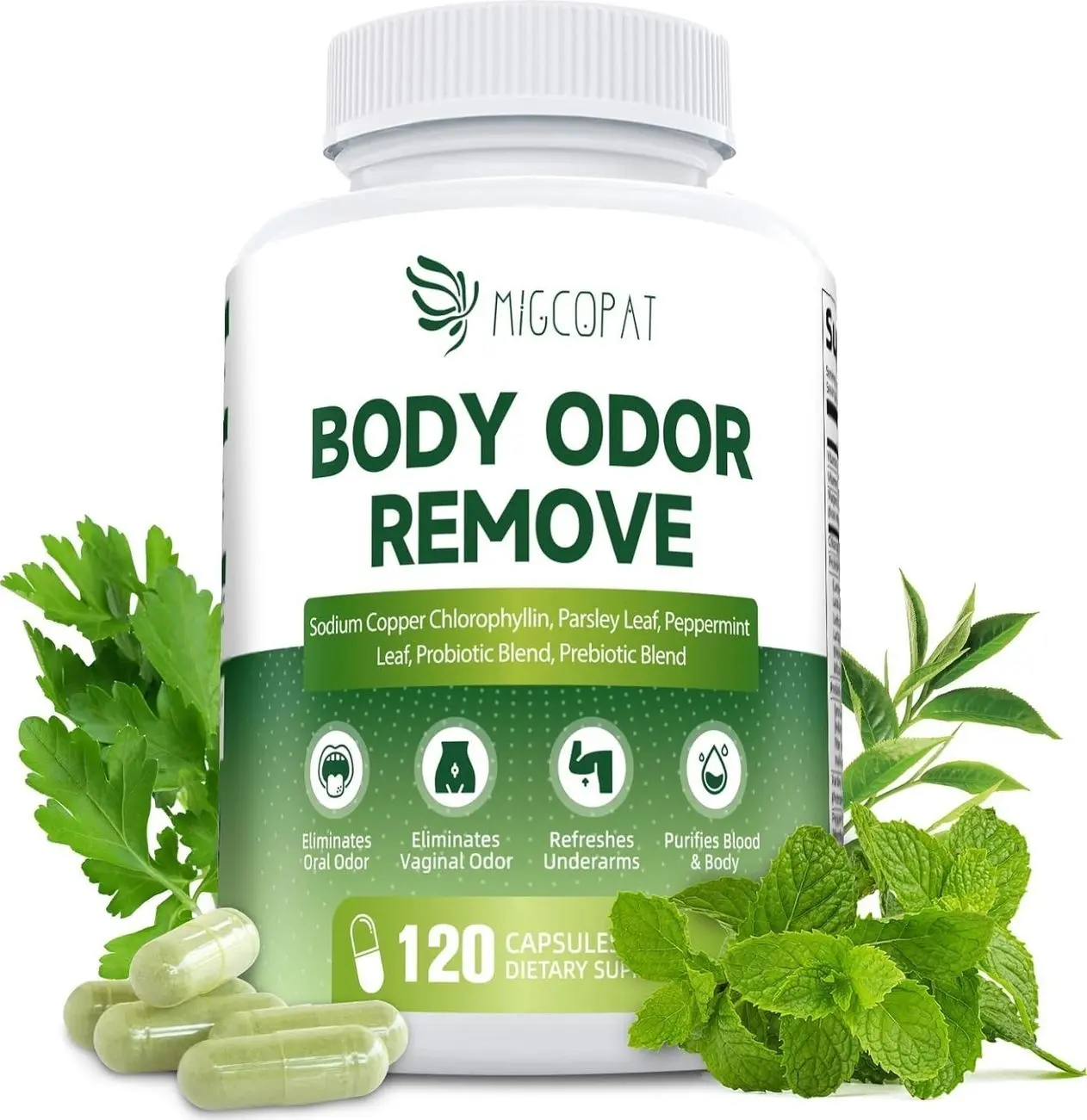 Chlorophyll Body Deodorizing Supplement, Chlorophyll Capsules with Parsley & Peppermint, Probiotic, Green Tea, Jerusalem Artichoke, Prebiotic, Supports Fresh Breath & Whole-Body Freshness, 120 Caps