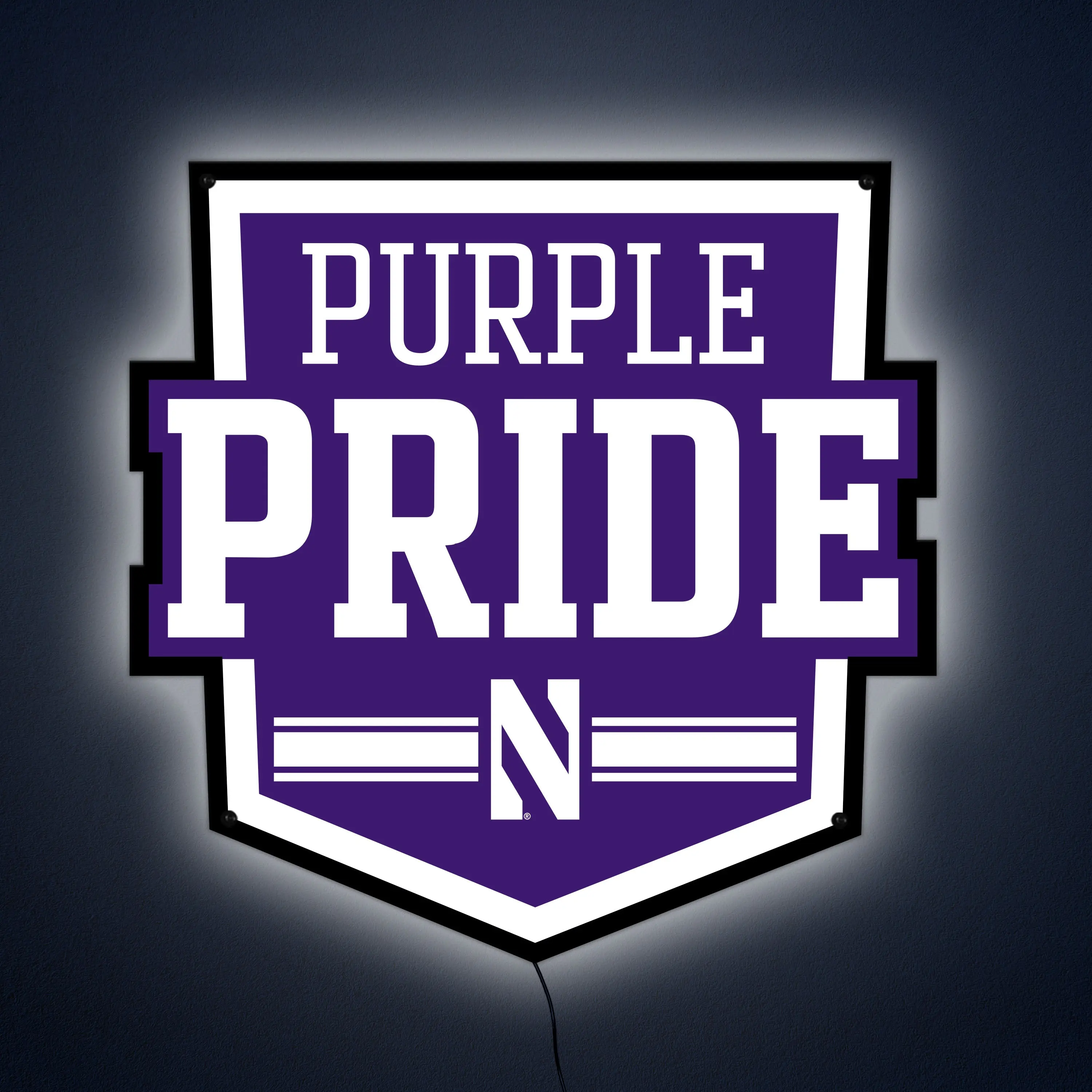 Collegiate Collection- Northwestern Purple Pride
