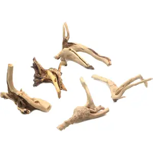 5Pcs Natural Cuckoo Wood for Aquarium, Aquarium Decor Wood Freshwater Fish Tank Reptile Driftwood Branch Length 3.93" to 5.9"