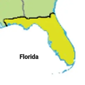 Florida Native Wildflower Seed Mix