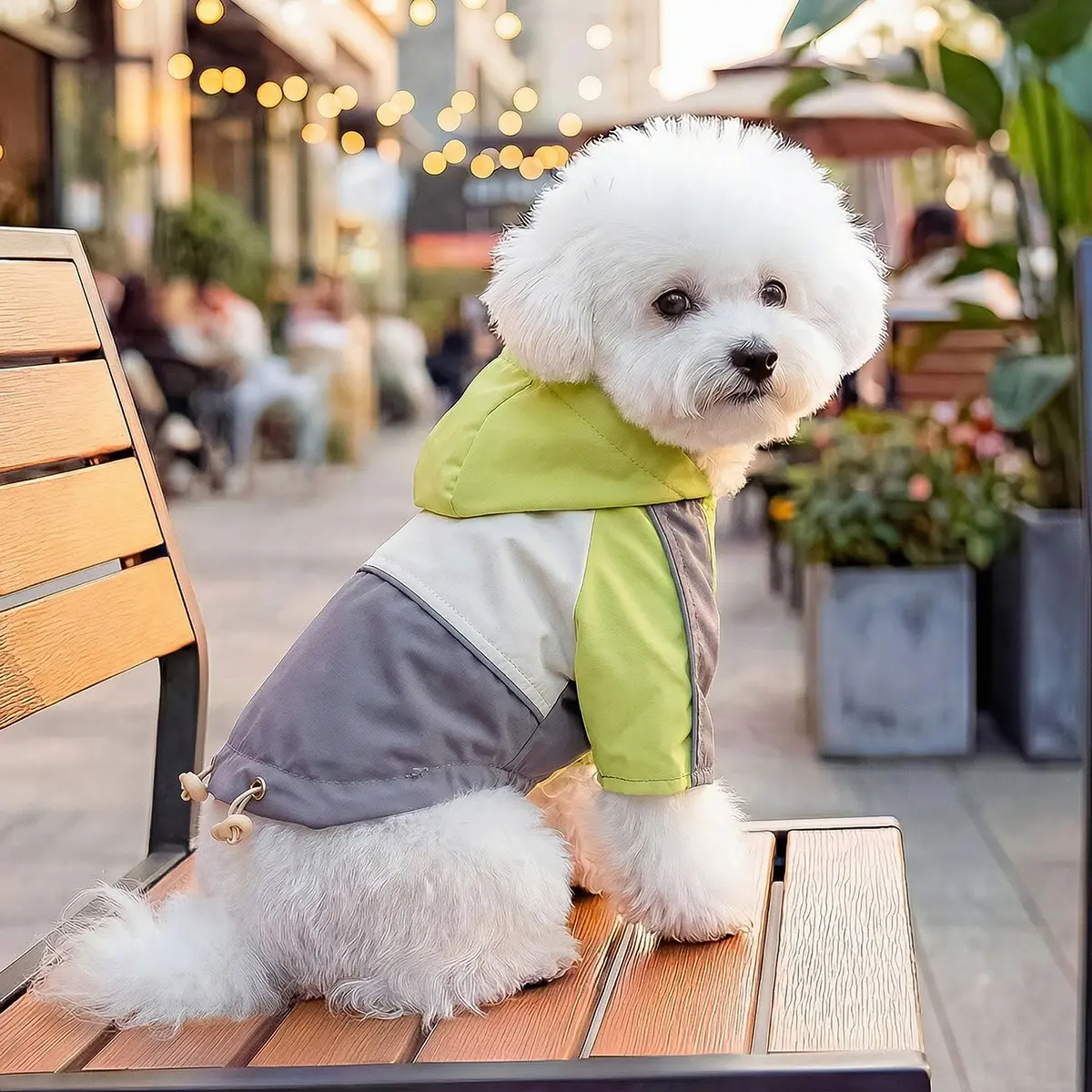 Cool Kid Running Jacket-Lime, Pet Dog, Puppy and Cat Wearable Two-Piece Sports, Suitable for Teddy Bichon Pomeranian Yorkie