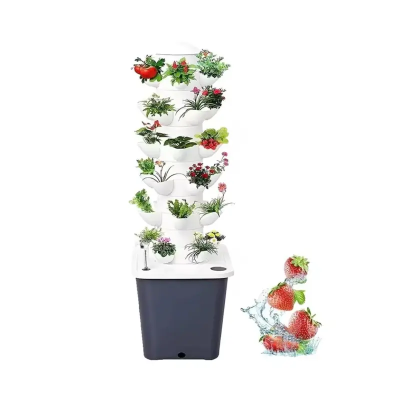 real eucalyptus plant indoor Eucalyptus Plant Care Guide