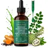 summervibes Qizfyzz Soursop Bitters Liquid Drops 10-in-1 with Nori Moringa Turmeric Black Seed Oil Oregano Ashwagandha Herbal Extracts for Overall Health Vegan Non-GMO 2 fl oz,summerwins
