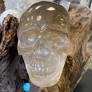 Smoky Quartz Crystal Skull 10.4 Pounds Stunning!