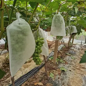 50pcs white mesh fruit protection bag- Durable PP/TPE non-woven fabric covered for insect and bird protection- perfect for vineyard and home garden planting, plant protection cover