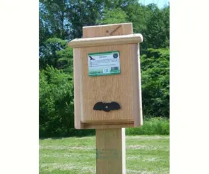 Single Compartment Bat House