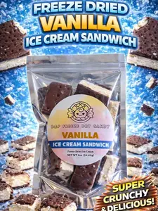 Vanilla Ice Cream Sandwich Crunches - Airy Crunchy Freeze-Dried Ice Cream Biscuit Snack for Easy Snacking