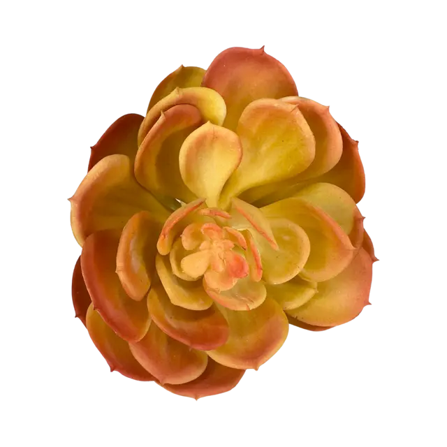 Artificial Echeveria Succulent Pick