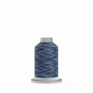 Affinity Variegated Polyester Thread 40wt 1,000yds Mini King Spool Aquarium
