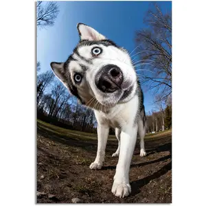 Funny Animal Canvas Poster Series Joy, Humor, Wholesome Charm Wall Art Home Decor For Bathroom & Living Room